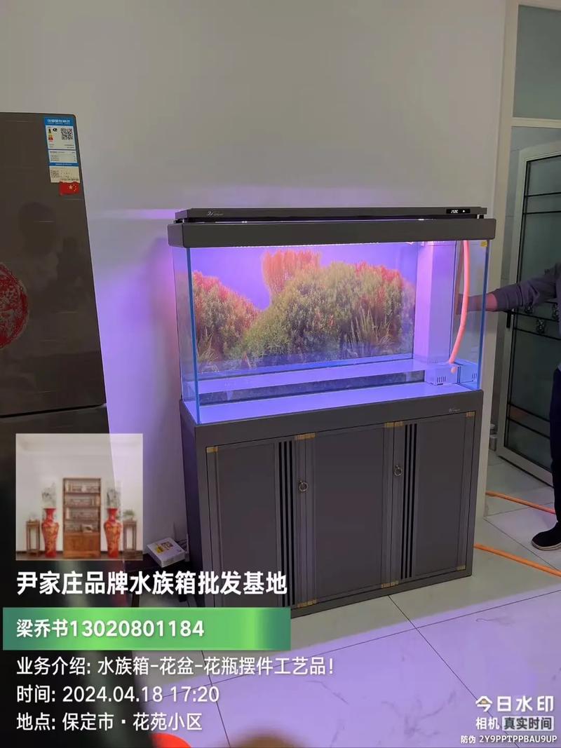 定州市南城區尹家莊品牌水族箱 專業批發服務