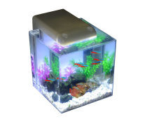 水族箱 家居中的一方靈動水域，如何打造與維護(hù)