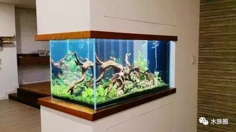 您說魚缸水族箱占地，我們笑了 方寸之間，自有天地